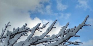 Δεκέμβριος : Καλό & ευλογημένο μήνα !