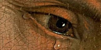 Μαθήματα ταπεινοφροσύνης