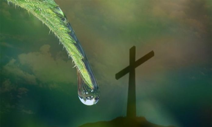 Η αγιότητα υπάρχει εκεί που δεν φαίνεται. Στους μετανοημένους αμαρτωλούς και όχι στους υποκριτικά τέλειους…