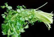 Καθαρτικό για τα νεφρά