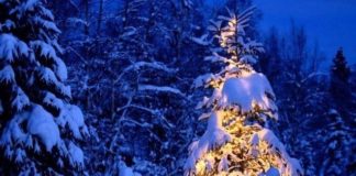 Ω Έλατο – O Christmas Tree. Κλασικά Χριστουγεννιάτικα τραγούδια (Ακούστε τα)