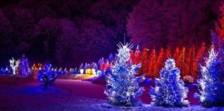 Τα Χριστουγεννιάτικα φωτάκια (λαμπιόνια) και η ιστορία τους