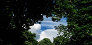 Πρωτοχρονιά Πρωτομηνιά