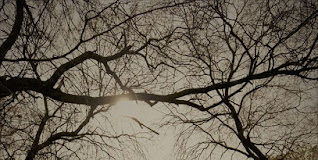 Μας έφυγε η μάνα μας, αδελφή μου