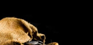 Ο προδότης Ιούδας