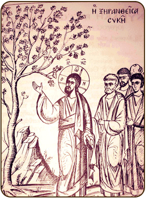 Μ. Δευτέρα - Του θαύματος της ξηρανθείσης ακάρπου Συκής μνείαν ποιούμεθα