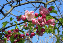 Η γεύση του νερού