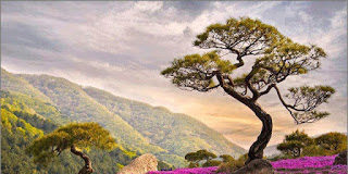 Μέ τή σιωπή, τήν ἀνοχή καί τήν προσευχή, ὠφελοῦμε τόν ἄλλον μυστικά