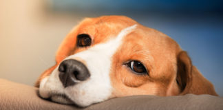 Η ιστορία είναι παραβολική