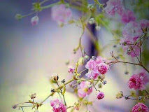 Η εκλογή του συντρόφου της ζωής μας