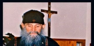 Γέροντας Εφραίμ Αριζόνας: Θυμός και βλασφημία… γιατί; – Για ποιο λόγο;