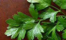 Καθάρισε τα νεφρά σου με μαϊντανό