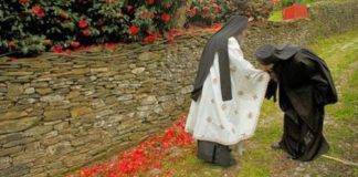 Το χέρι του παπά