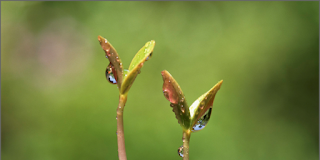 Χωρίς αγάπη δεν υπάρχει ζωή