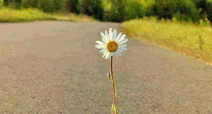 Ἡ ψυχὴ ποὺ ἀγωνίζεται σύμφωνα μὲ τὸ θέλημα τοῦ Θεοῦ …