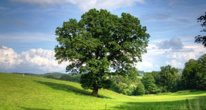 Ιωάννης Πολέμης – Στην Πίστη πάνω την Ελπίδα