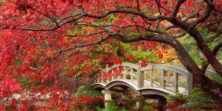 Αφήνουμε, δυστυχώς, να καθορίζεται η ζωή μας από φόβους