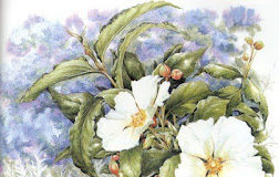 Η χάρη των Αγίων μας ακόμη και πάνω στα ξύλα των αγίων εικόνων υπάρχει