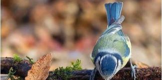 Έχεις μάθει να συγχωρείς ;