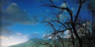 Όταν κανείς ρεζιλευθεί μια φορά, πρέπει στην συνέχεια να είναι πολύ προσεκτικός