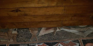 Ἡ Γέννησής σου Θεοτόκε, χαράν ἐμήνυσε πάσῃ τη οικουμένη