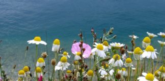 Η πίστη είναι απαραίτητη προϋπόθεση για το θαύμα