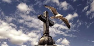 «Aββά, τι να κάνω πού χάνεται η ψυχή μου;»