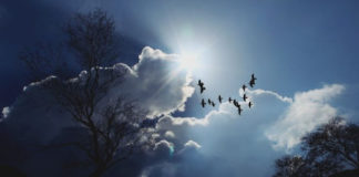 Το σημάδι του Θεού