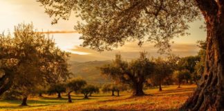 Να παραμένουμε κοντά στον Θεό