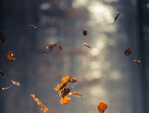 Εφτά λόγοι για τους οποίους υπάρχει έχθρα στο σπίτι