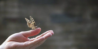 Είναι πολύ συχνό το φαινόμενο να συναντάμε την αχαριστία, όταν κάνουμε κάποια καλοσύνη, και σε πολλές περιπτώσεις να βρίσκουμε και τον μπελά μας