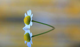 Να πως θα βρούμε τη Γαλήνη στη Ζωή μας
