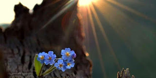 Η υπερηφάνεια είναι ένα πολυκέφαλο τέρας