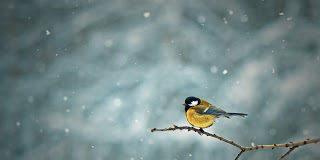 Ας γίνουμε όπως ο Χριστός, επειδή και ο Χριστός έγινε όμοιος με εμάς