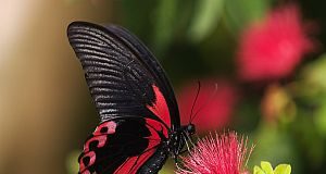 Όλα γύρω μας είναι σταλαγματιές της αγάπης του Θεού