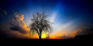 Θαυμαστή Αγιορείτικη διήγηση : Ο καρπός της νυχτερινής προσευχής και η δύναμη της ευχής