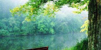 Έλεγαν για ένα αδελφό ότι επειράσθηκε σε βλασφημία και ντρεπόταν να το πει