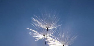 Τρεις Αγίες που αξίζει να τις κάνεις φίλες…