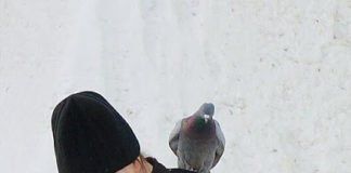 Ήταν μια σκηνή παραδείσια