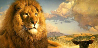 Το πρόβατο είπε: «Απλά φάε με· δεν χρειάζεται να βρεις κάποια δικαιολογία»