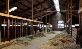 Αυτός που έχει τον κόσμο όλο στο χέρι Του γεννήθηκε στον πιο ταπεινό τόπο…