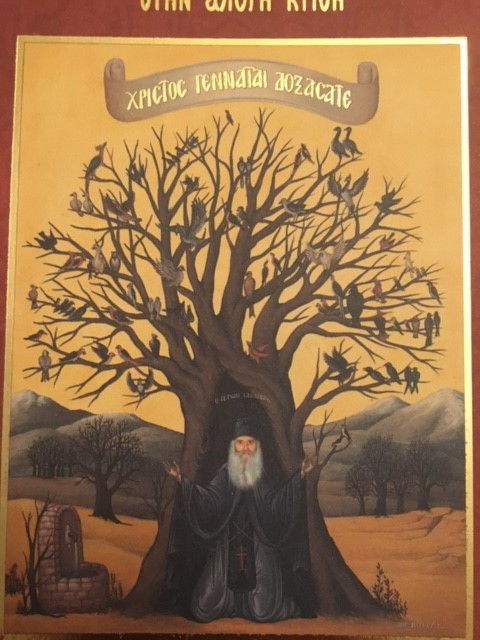 platanixristougennvn