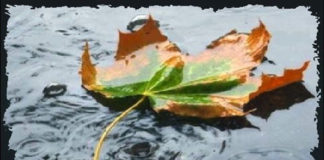 Περί υπομονής