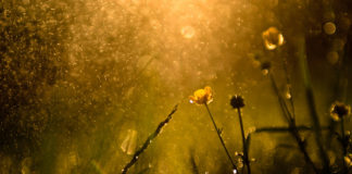 Με ό,τι εξόργισες τον Θεό, με αυτό κάνε τον σπλαχνικό απέναντί σου