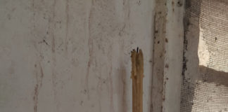 Το εισοδικό της Ορθοδοξίας