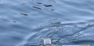 Βατοπαιδινοί πατέρες – «Τὸν φωτισμὸν ἡμῶν», «Τὰ Ἰορδάνια ῥεῖθρα» (Ακούστε)