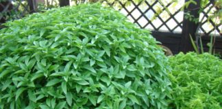 Πώς βρέθηκε ο Τίμιος Σταυρός