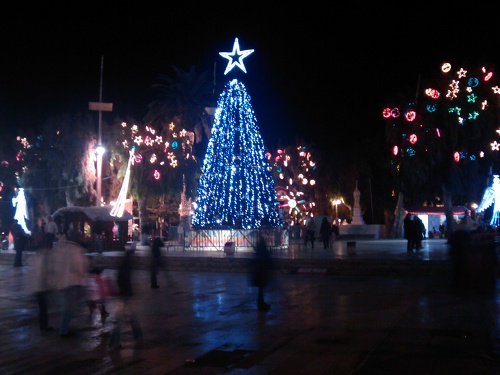 christmas-crete