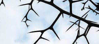 Γελούν κοροϊδευτικά, με ο,τιδήποτε εμείς θεωρούμε ιερό