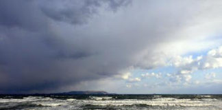 Πρώτα το σπέρνει και μετά το καλλιεργεί